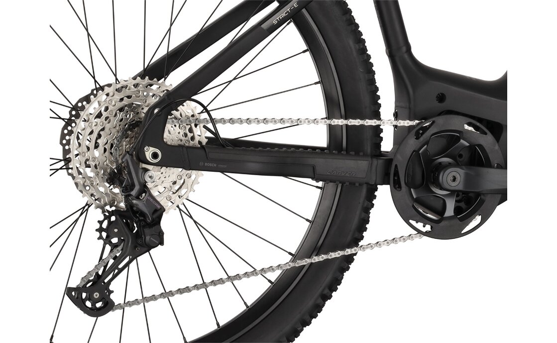 Carver Strict E.560 - B-Ware - 750 Wh - 29 Zoll - Diamant