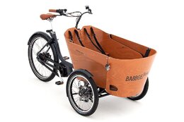 Babboe Flow Mountain - 500 Wh - 26 Zoll - Dreirad - 2024