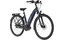 Carver Cityzen E.420 RT - 500 Wh - 28 Zoll - Tiefeinsteiger - 2025