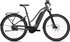 anthracite gloss