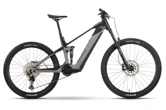 Mittelmotor - E-Bike Fully - Raymon Tarok - 756 Wh - 29 - 27,5 Zoll - Fully