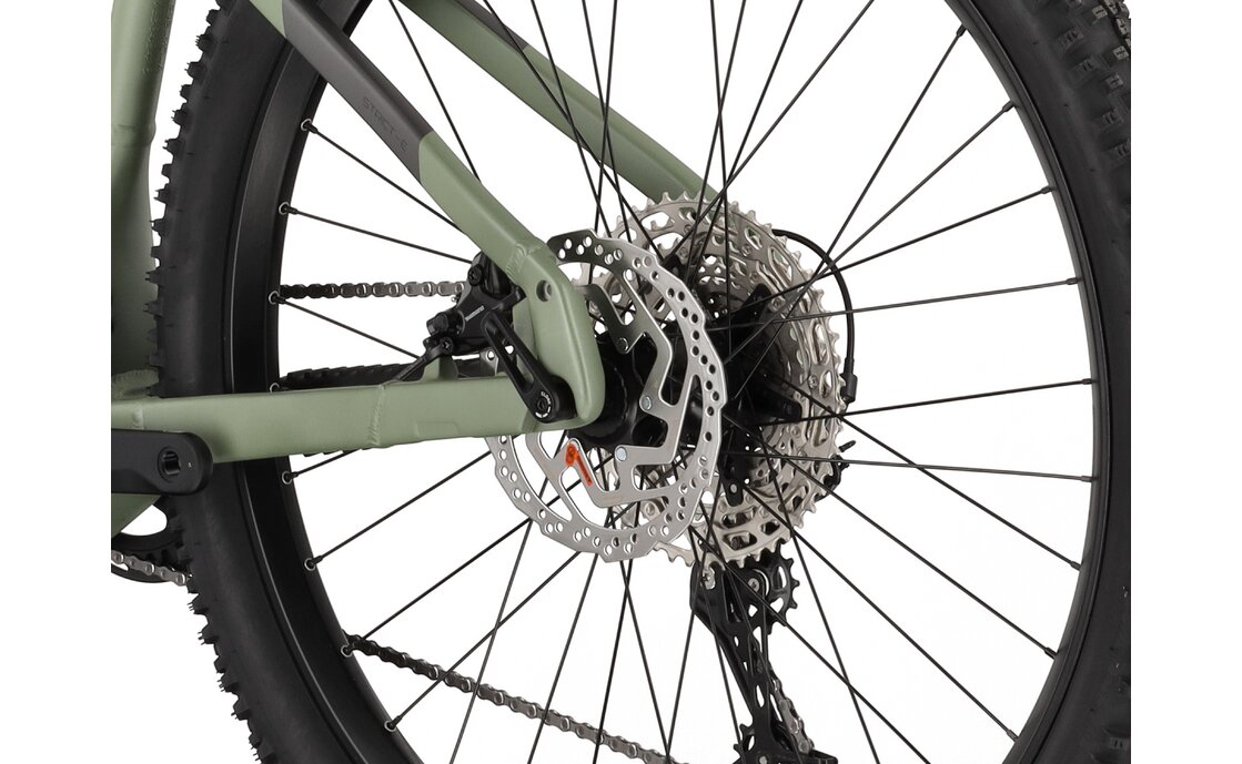 Carver Strict E.560 - B-Ware - 750 Wh - 29 Zoll - Diamant