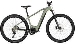 Carver Strict E.560 - B-Ware - 750 Wh - 29 Zoll - Diamant