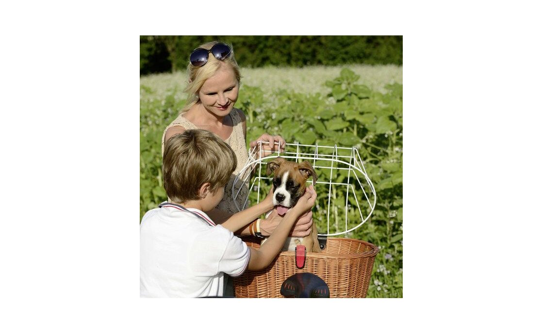 KLICKfix by Rixen&Kaul Doggy Basket Plus Fix