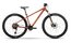 Raymon Nayta Pro - 29 Zoll - Diamant - 2026