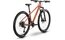 Raymon Nayta Pro - 29 Zoll - Diamant - 2026