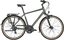Bergamont Horizon 3 Gent - 28 Zoll - Diamant - 2024