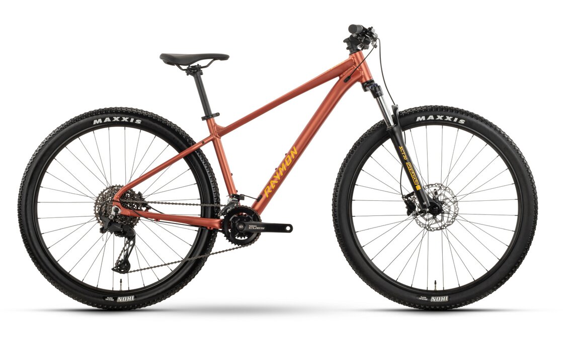 Raymon Nayta Pro - 29 Zoll - Diamant - 2026