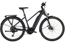 Carver Route E.420 - B-Ware - 545 Wh - 28 Zoll - Trapez