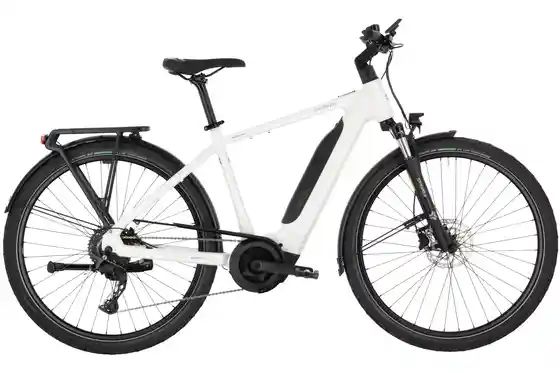 E-Bike Trekking - Carver Route E.420 - B-Ware - 545 Wh - 28 Zoll - Diamant