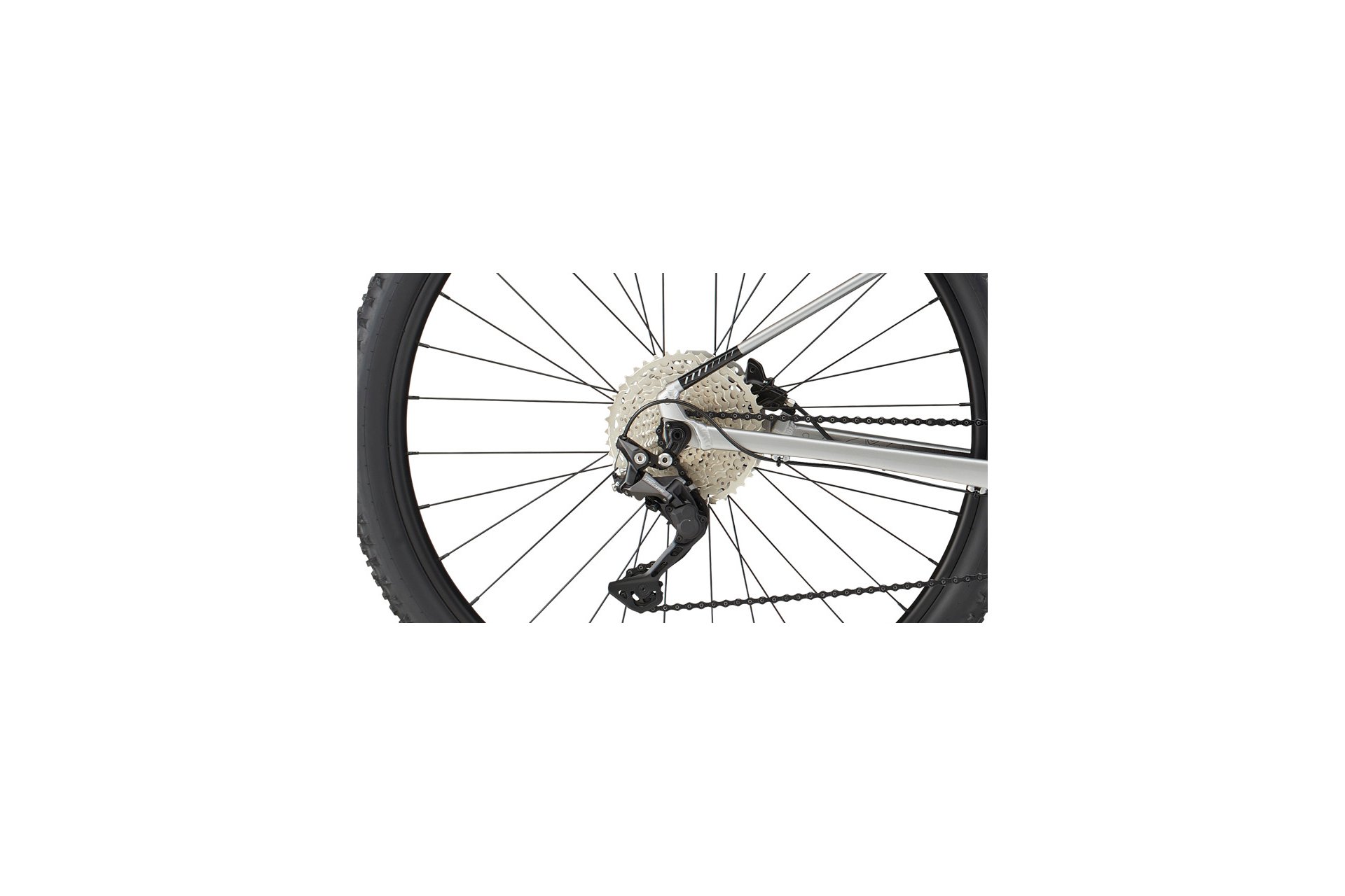 Cannondale Trail SL 4 - 29 Zoll - Diamant - 2024