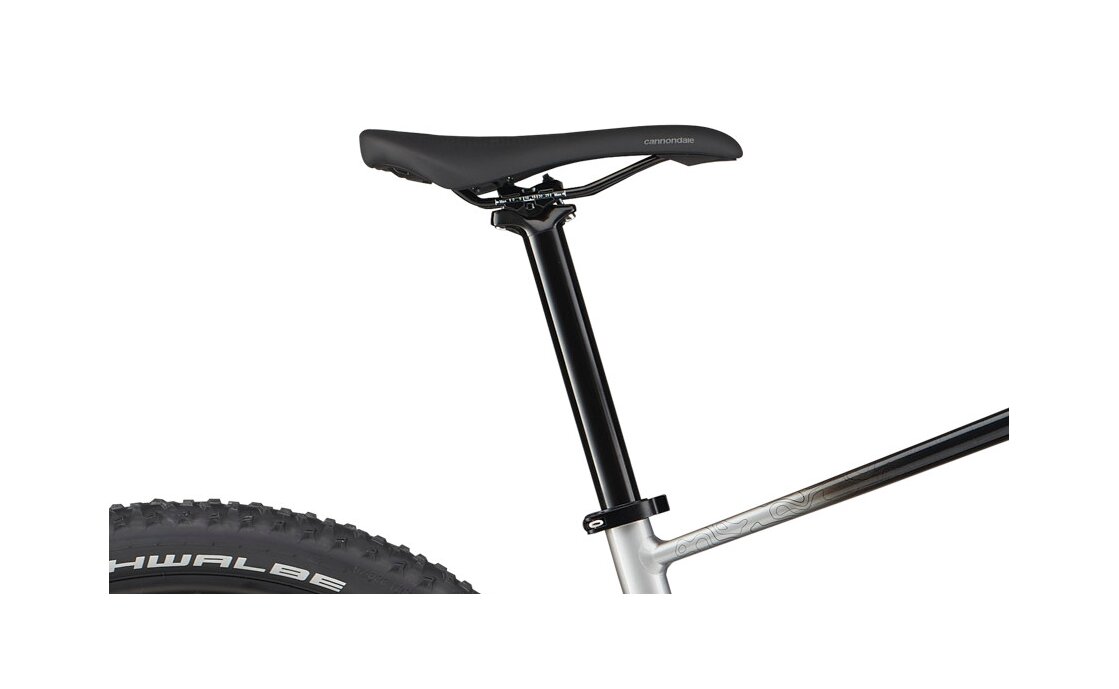 Cannondale Trail SL 4 - 29 Zoll - Diamant - 2024