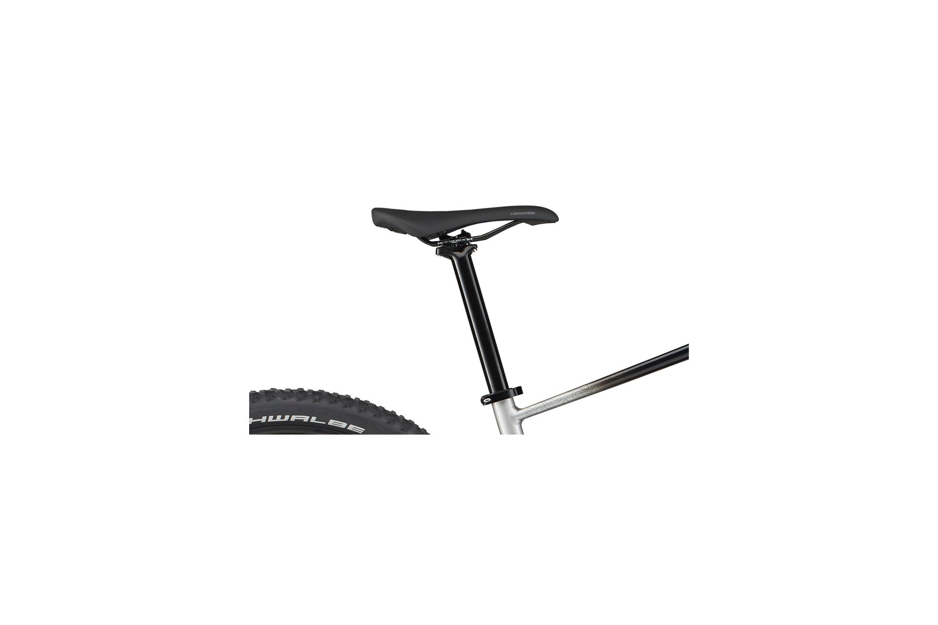 Cannondale Trail SL 4 - 29 Zoll - Diamant - 2024