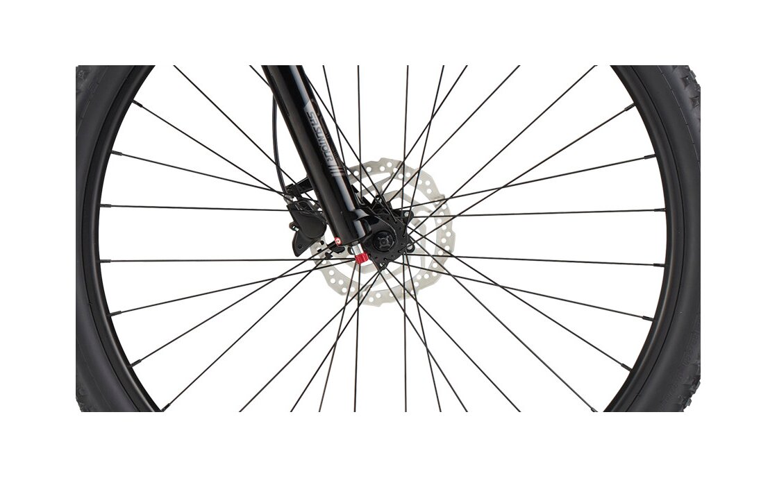 Cannondale Trail SL 4 - 29 Zoll - Diamant - 2024
