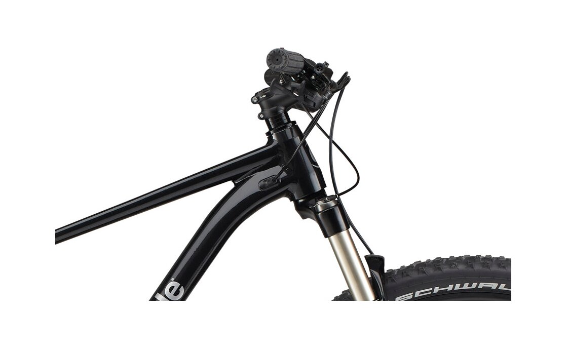 Cannondale Trail SL 4 - 29 Zoll - Diamant - 2024