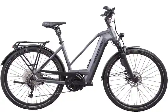 E-Bike Trekking - Hercules Futura Max I-10 ABS - 750 Wh - 28 Zoll - Trapez