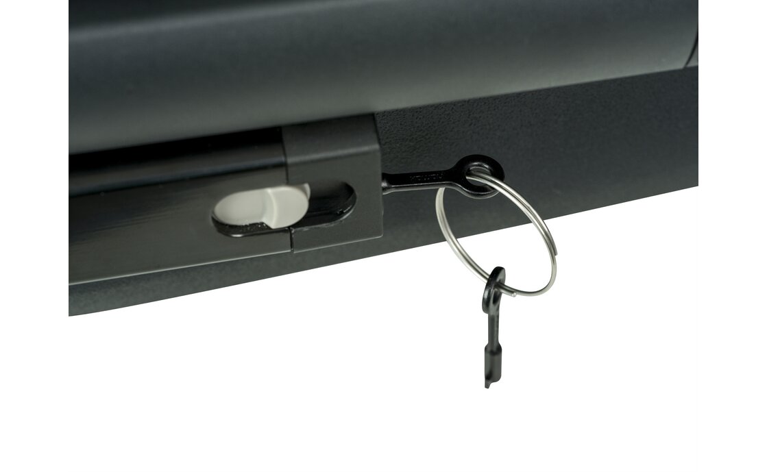 Hamax Pluto L Hundeanhänger mit Deichsel und Buggyrad