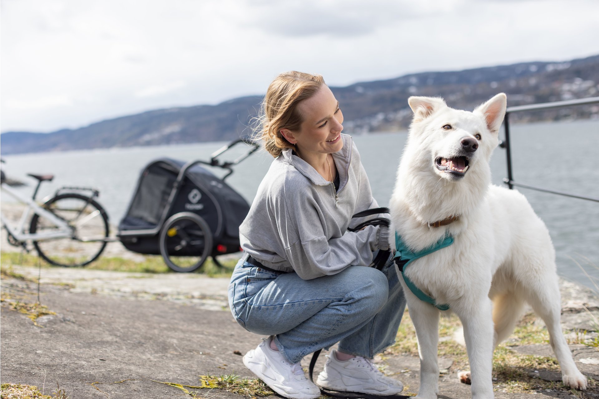 Hamax Pluto L Hundeanhänger mit Deichsel und Buggyrad