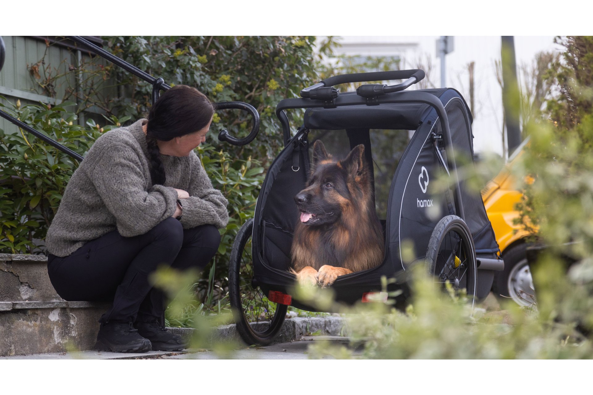 Hamax Pluto L Hundeanhänger mit Deichsel und Buggyrad