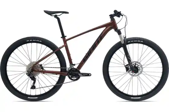 Shimano Deore - Mountainbikes - Giant Talon 1 - 29 Zoll - Diamant