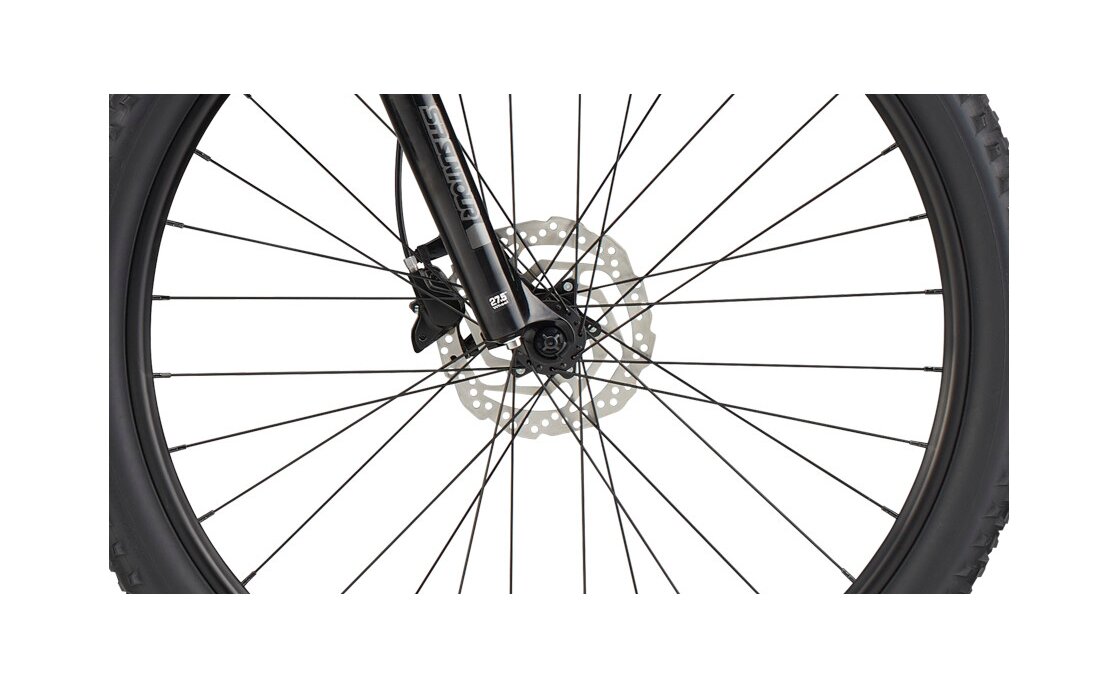 Cannondale Trail Women's 6 - 29 Zoll - Diamant - Aktion