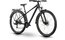 Raymon Nayta Street - 29 Zoll - Diamant - 2026