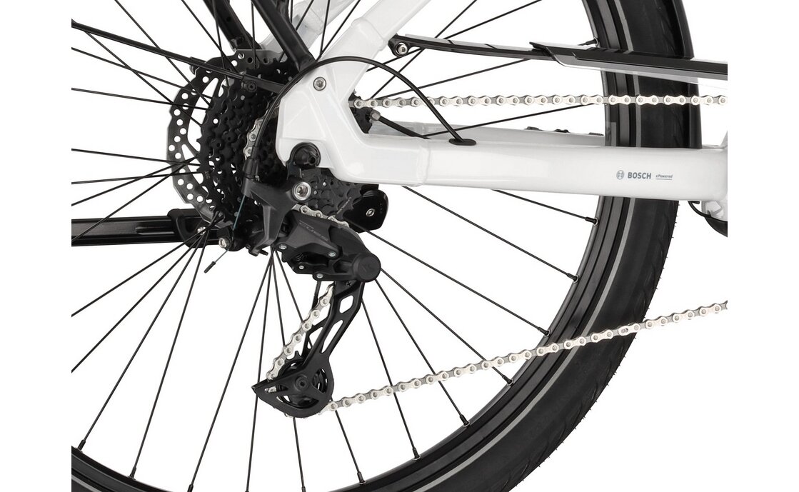 Carver Route E.420 - B-Ware - 545 Wh - 28 Zoll - Trapez