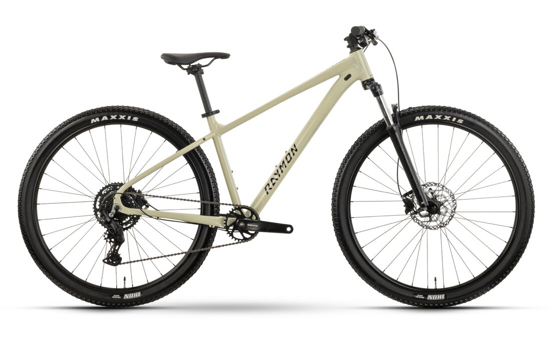 Raymon Nayta Comp - 29 Zoll - Diamant - 2026