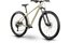Raymon Nayta Comp - 29 Zoll - Diamant - 2026