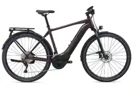 Giant Explore E+ Pro 1 - RC Dash - 625 Wh - 28 Zoll - Diamant