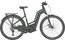 Bergamont E-Horizon Expert 6 Amsterdam - 625 Wh - 28 Zoll - Doppelrohr - 2024