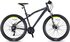 matted black-neon yellow/light grey