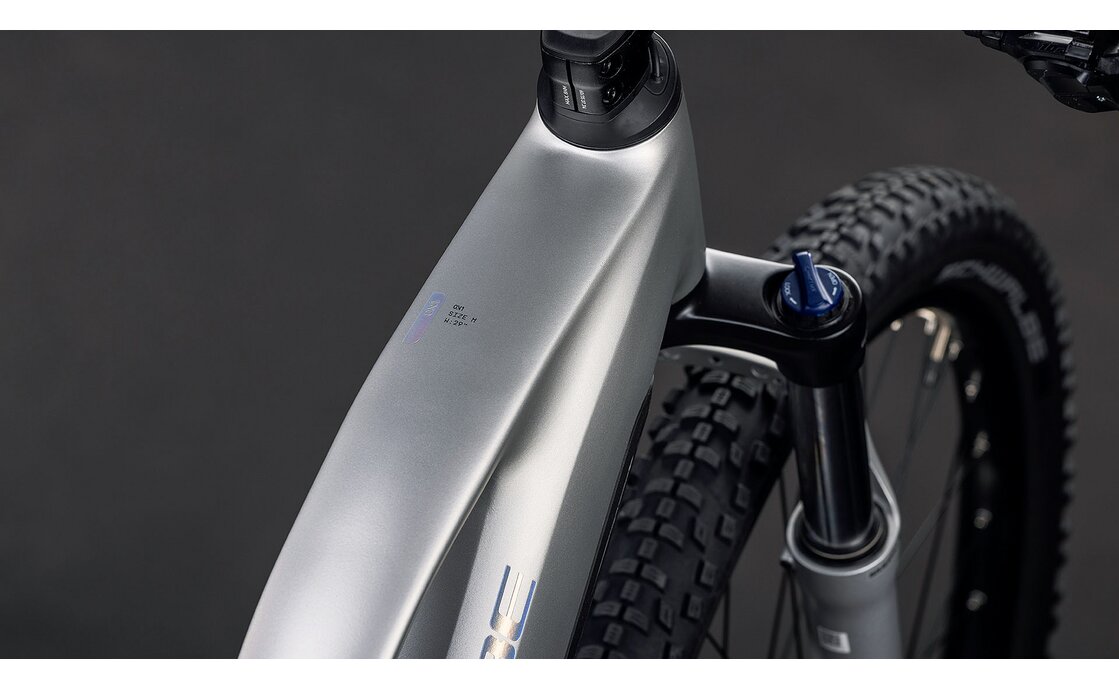 Cube Reaction Hybrid ONE 800 - 800 Wh - 29 Zoll - Damen Sport