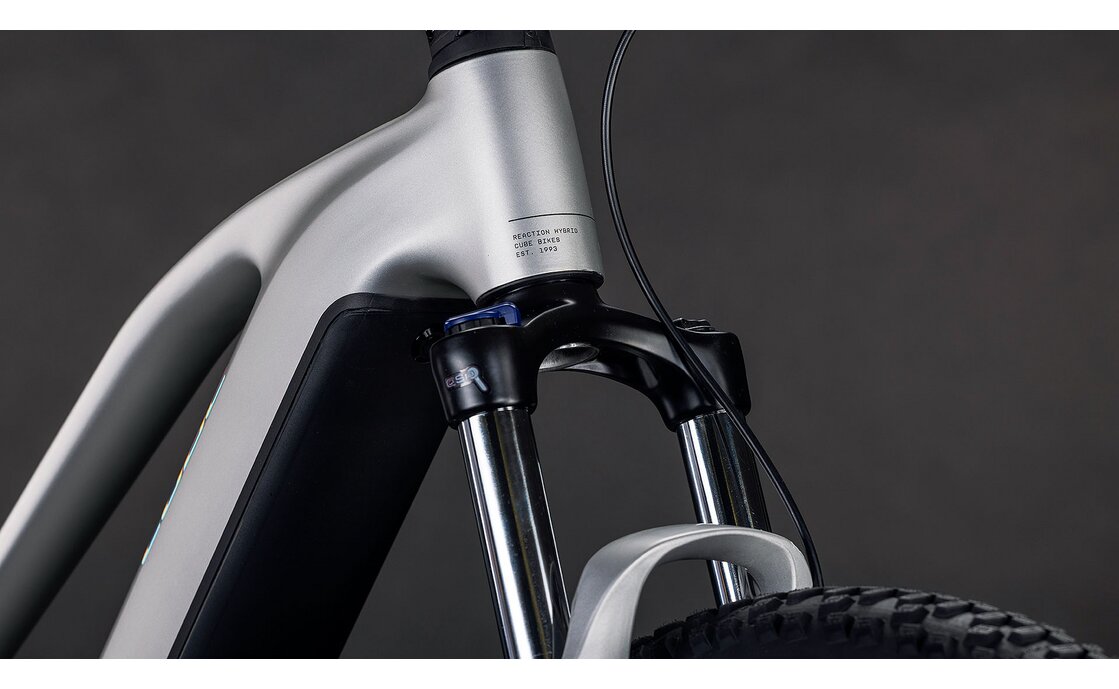 Cube Reaction Hybrid ONE 800 - 800 Wh - 29 Zoll - Damen Sport