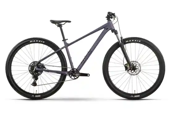 29 Zoll - Herren - Mountainbikes - Raymon Nayta Comp - 29 Zoll - Diamant - 2026