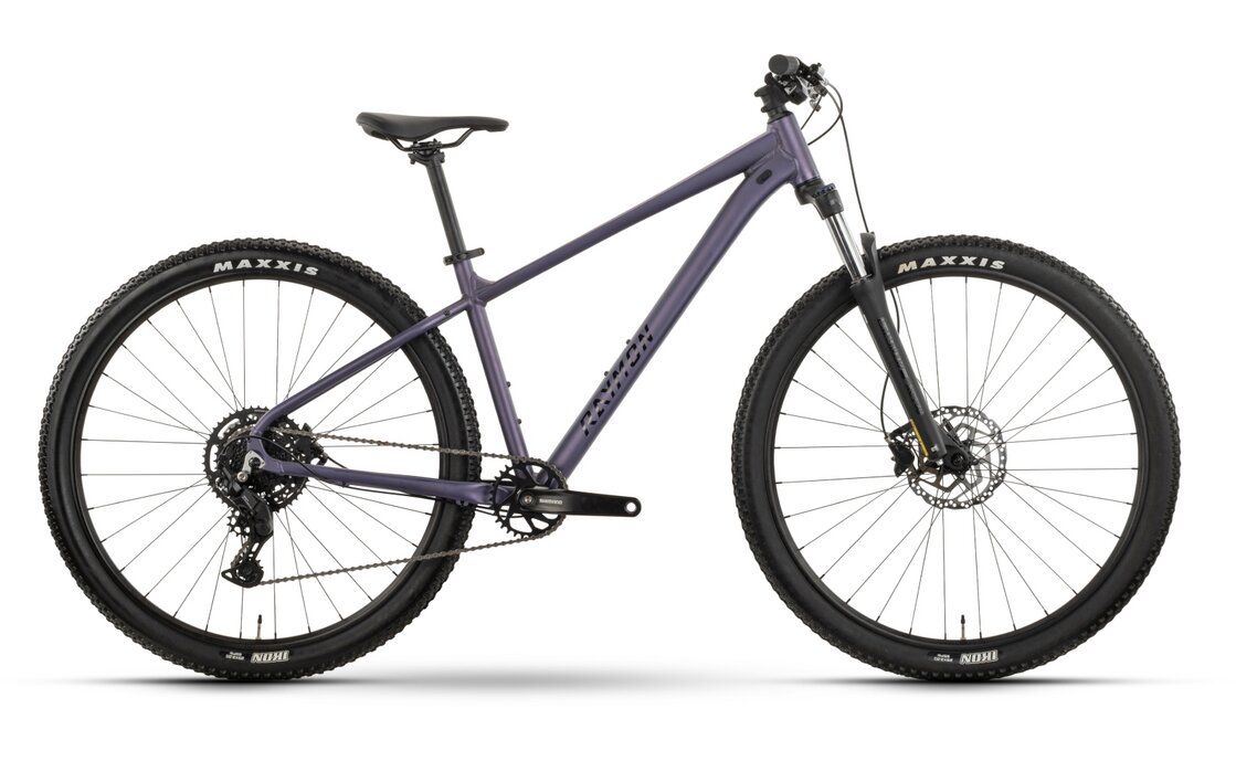 Raymon Nayta Comp - 29 Zoll - Diamant - 2026