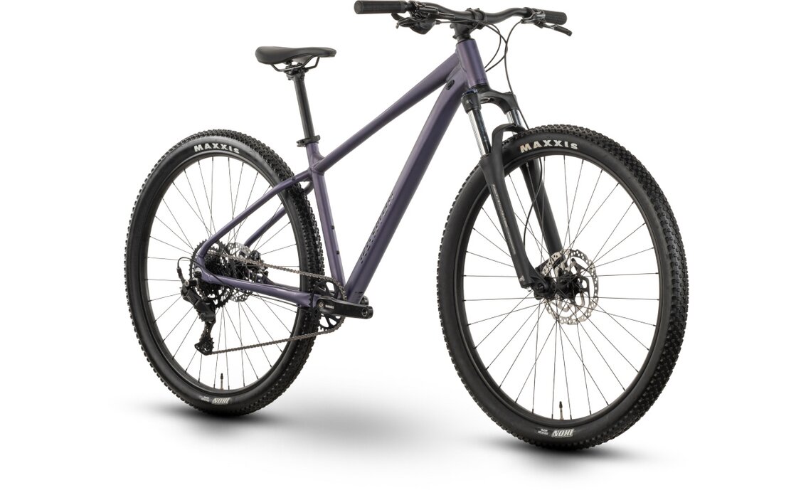 Raymon Nayta Comp - 29 Zoll - Diamant - 2026