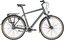 Bergamont Horizon N8 CB Gent - 28 Zoll - Diamant - 2024