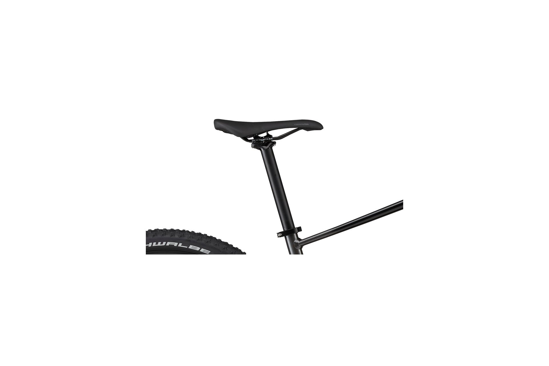 Cannondale Trail SL 3 - 29 Zoll - Diamant - 2024