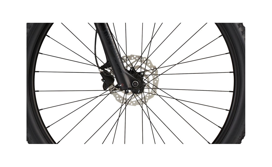 Cannondale Trail SL 3 - 29 Zoll - Diamant - 2024