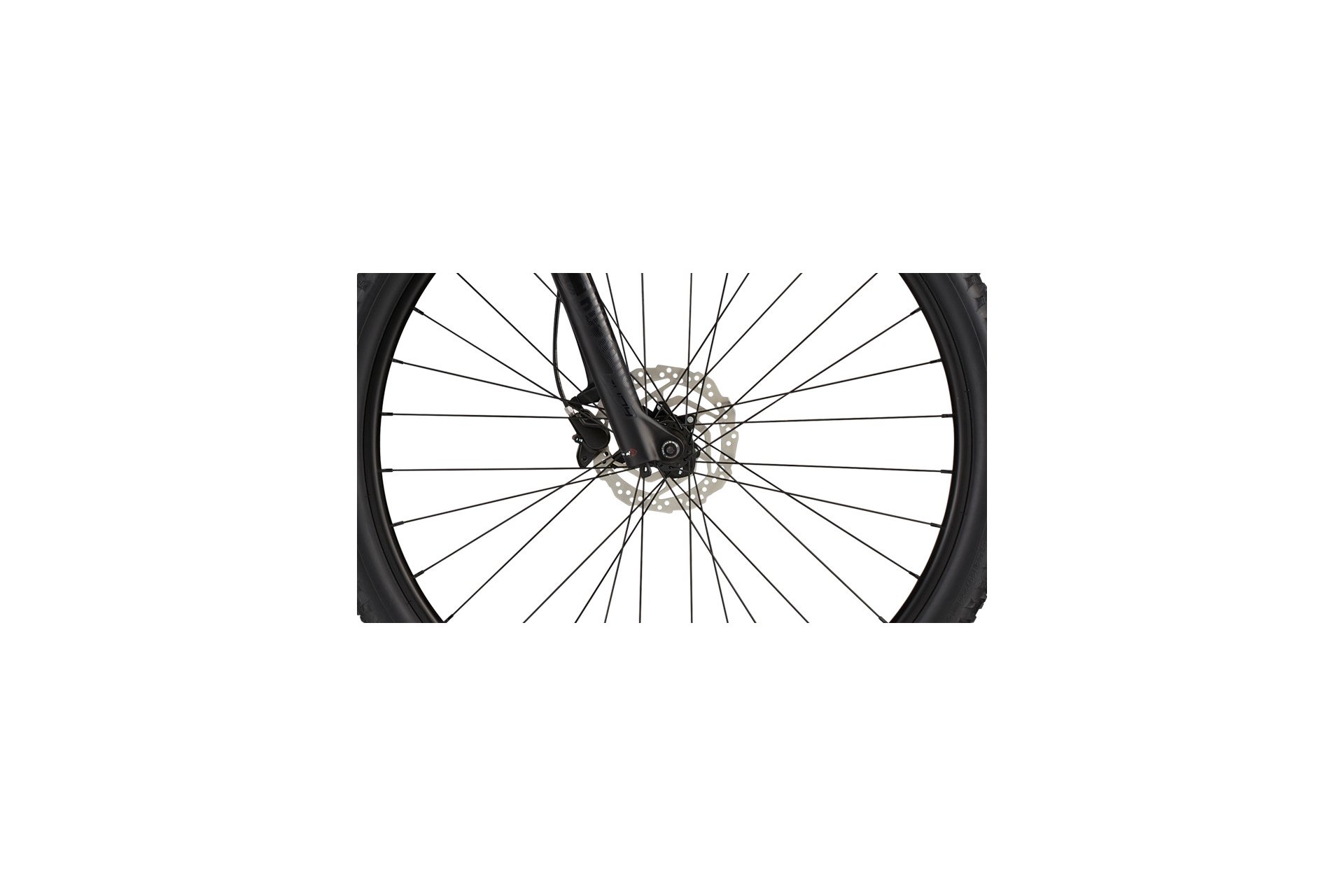 Cannondale Trail SL 3 - 29 Zoll - Diamant - 2024