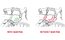 Selle Italia Shock Absorber Kit