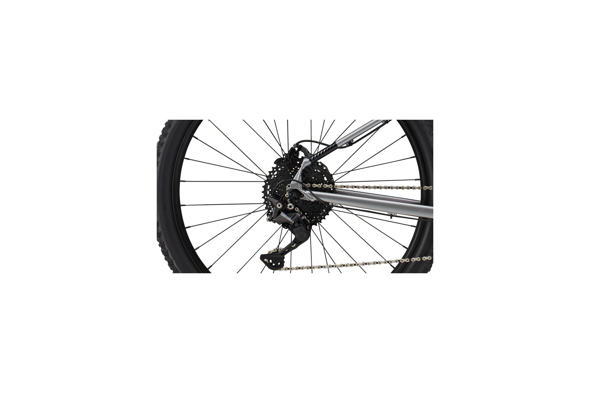 Cannondale Trail 5 - 29 Zoll - Diamant - 2024