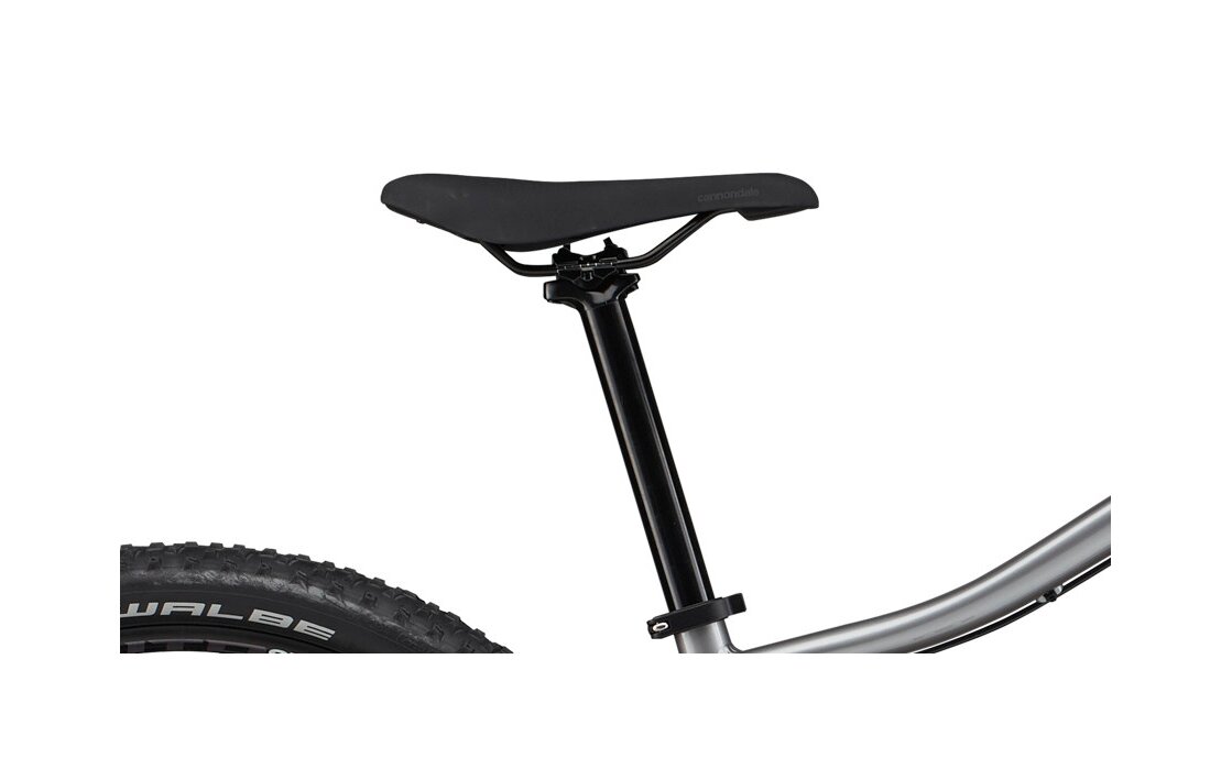 Cannondale Trail 5 - 29 Zoll - Diamant - 2024