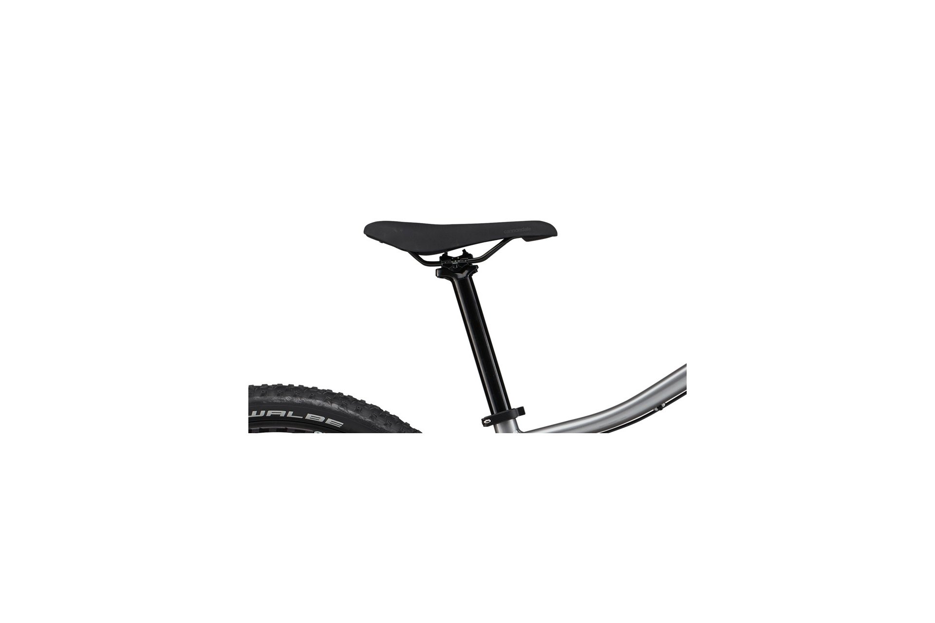Cannondale Trail 5 - 29 Zoll - Diamant - 2024