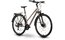 Raymon Zayn Comp - 28 Zoll - Trapez - 2027