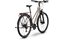 Raymon Zayn Comp - 28 Zoll - Trapez - 2027