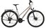 Raymon Zayn Comp - 28 Zoll - Trapez - 2027