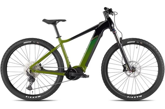 E-Bike Hardtail - BESV TRX 1.1 Step Over - 720 Wh - 29 Zoll - Diamant