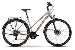 Raymon Zayn Comp - 28 Zoll - Trapez - 2027